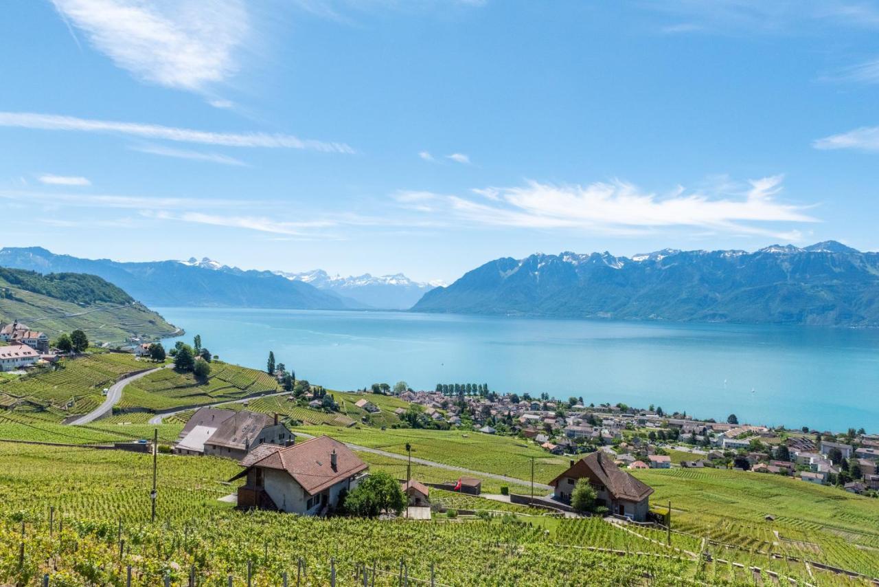 Swiss Luxury Apartments Genewa Zewnętrze zdjęcie